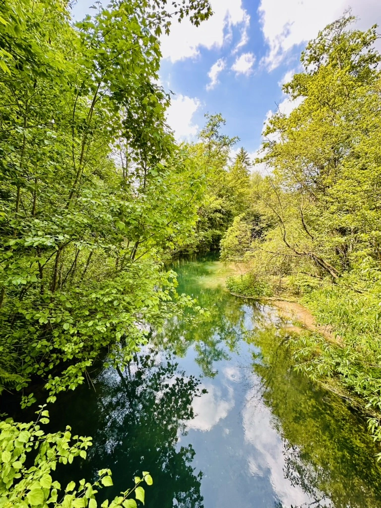 Ruhmspringe Quelle